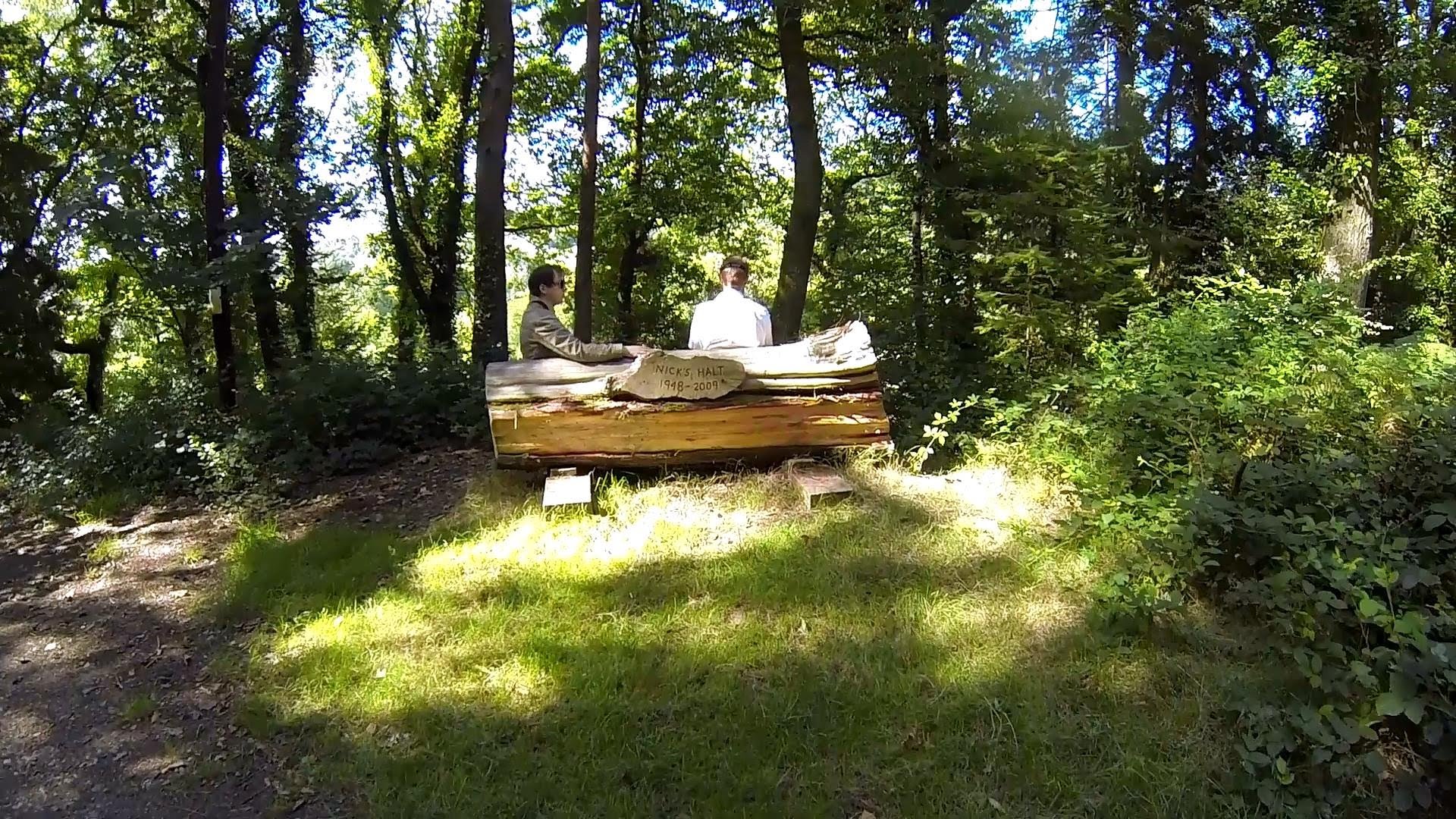FPV Quadcopter Forestry Run
