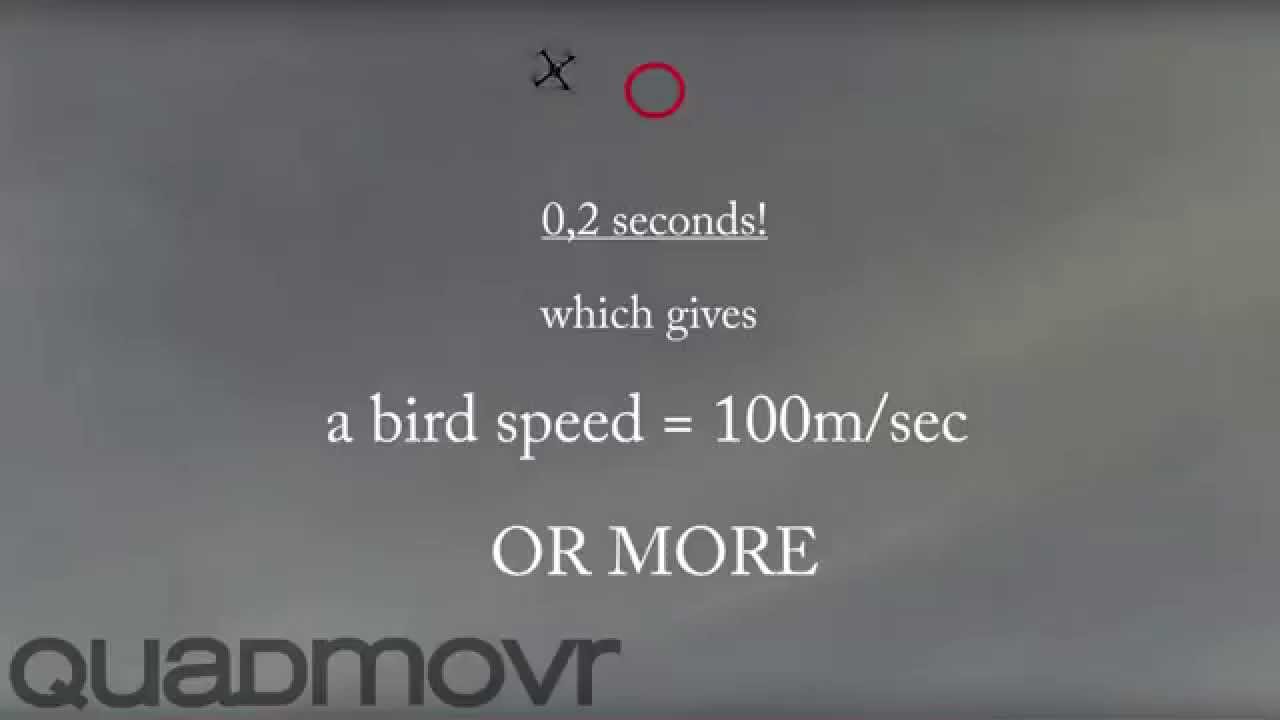 Re: super agile quadcopter / video speed up or not?