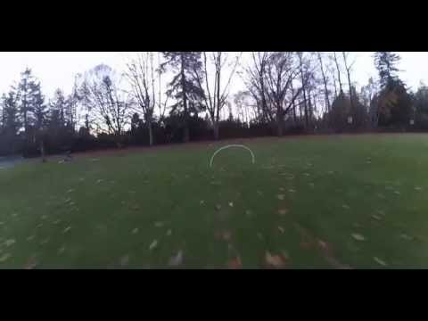 90 seconds of gate practice, SRD250, betaflight, FPV racing drone