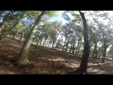 Forest Flying ~ ZMR250 FPV Drone Racing ~ 60fps ~ Klinger FPV