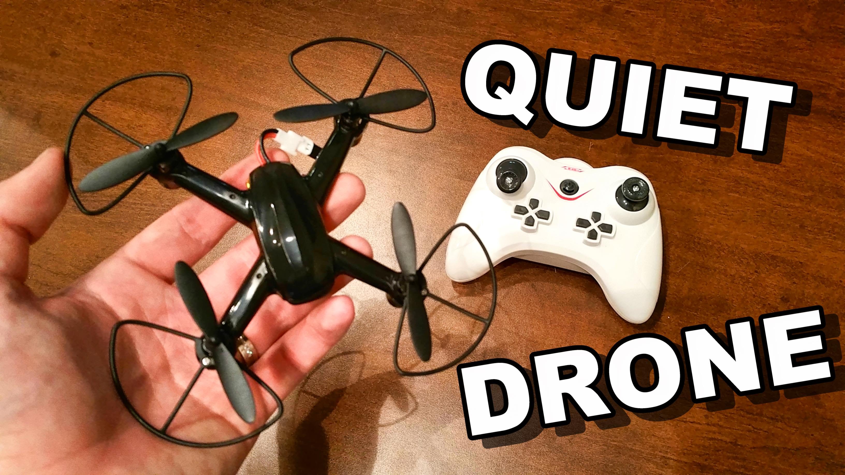 Amazingly Quiet RC Quadcopter – DM 003 Mini Speed Flight – TheRcSaylors