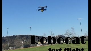 Robocat 270 Quadcopter Test Flight