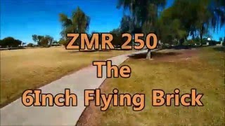 FPV Bird Chase Drone Nationals ZMR250 2015