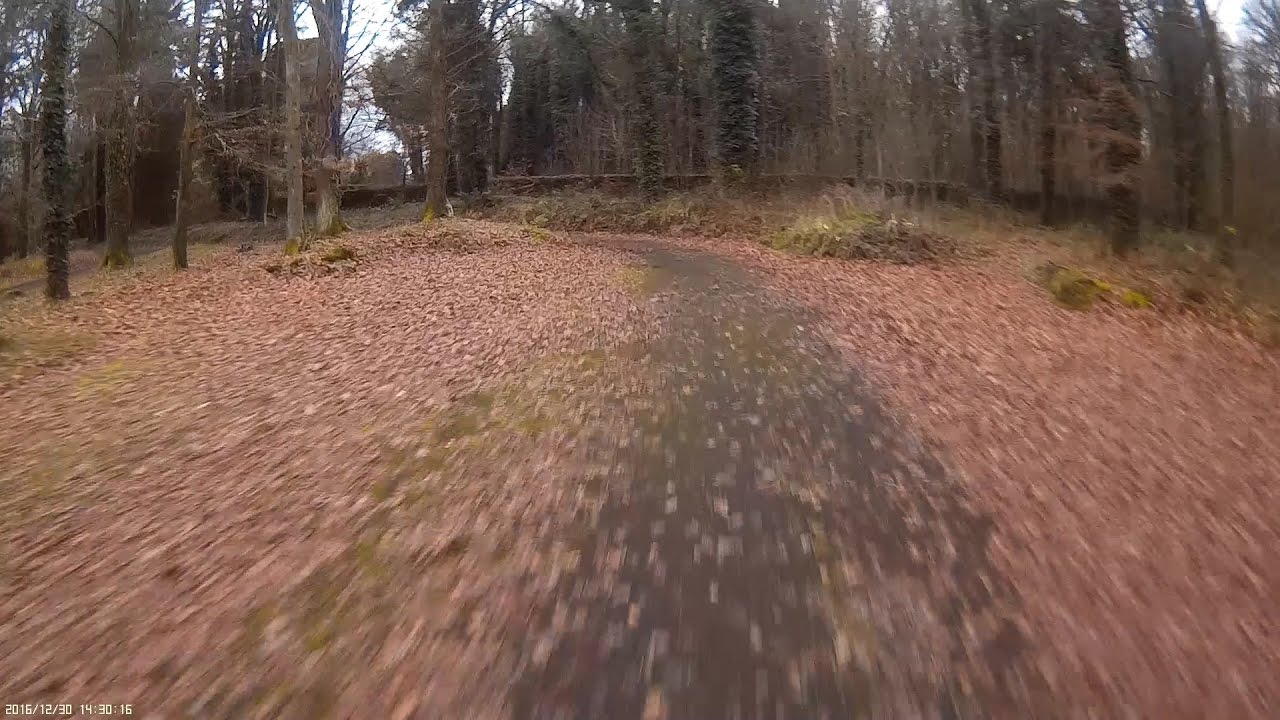 FPV in the Woods
