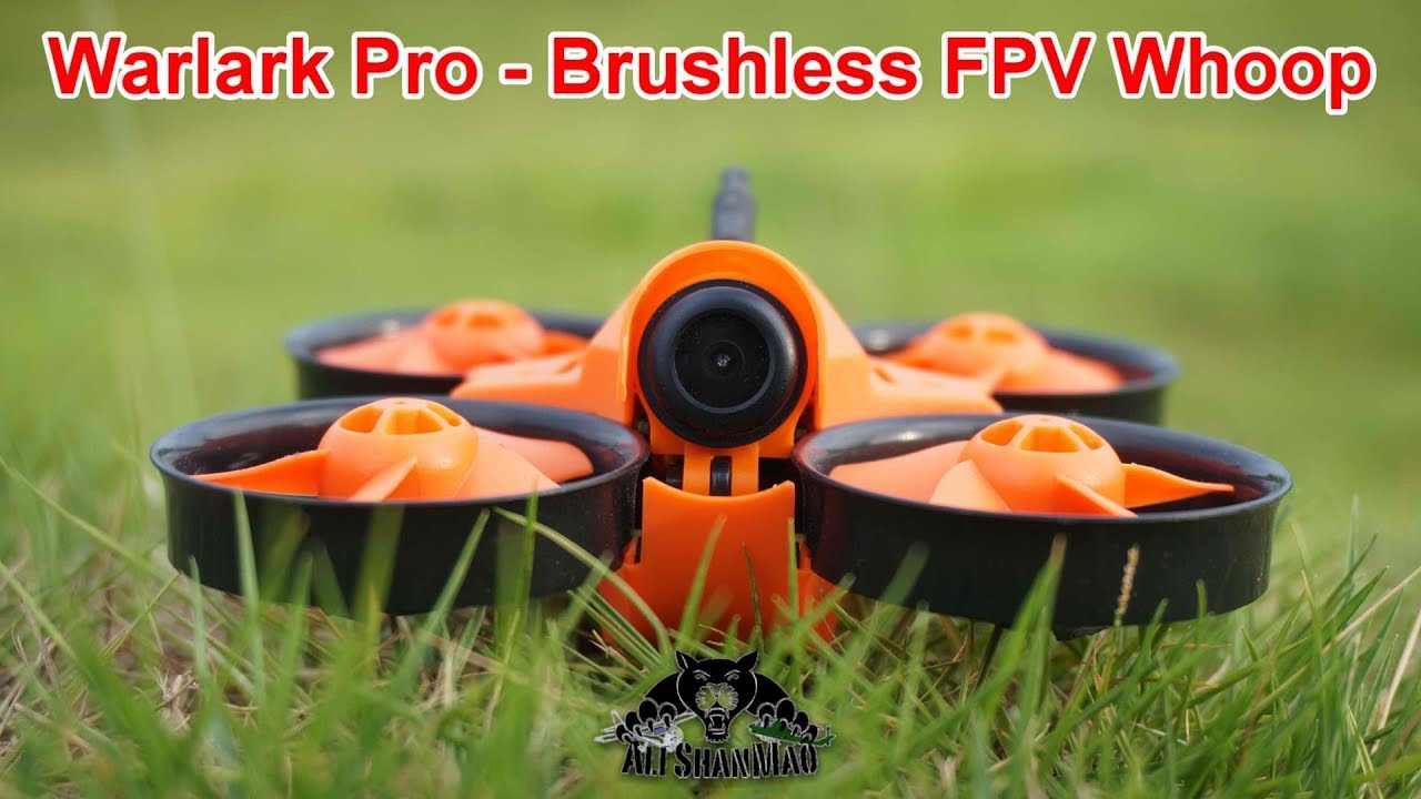 Warlark Pro Mini Brushless FPV Whoop Outdoor FPV Whooping in China