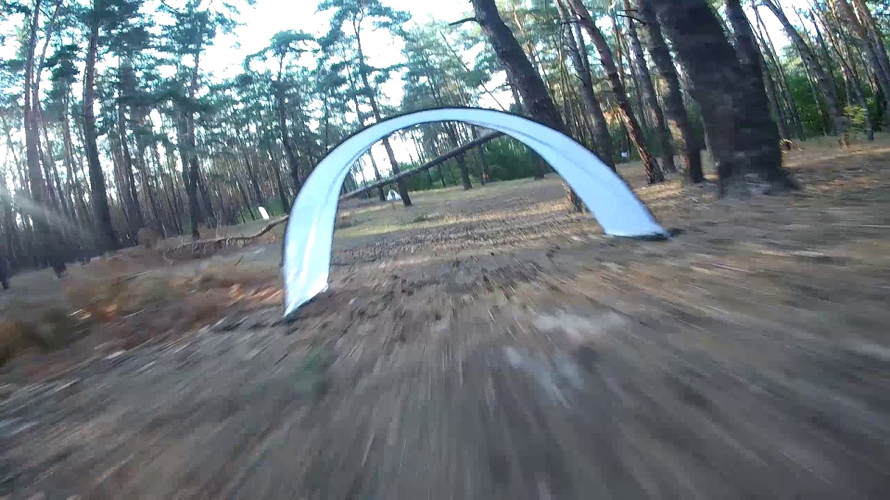 Forest FPV racing track