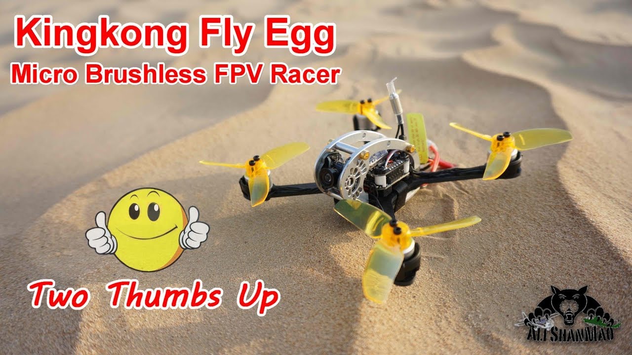 KingKong FlyEgg 130 Outdoor Flight Testing and FPV FreeStyling