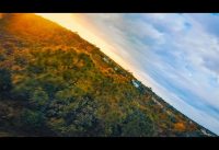 FPV Drone Freestyle (Sunset through the Trees) with Hyperlow CG