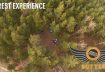 Forest experience  FPV Freestyle