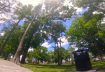 Beautiful day to do FPV in some random park in Lake Underhill in Orlando