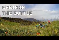 Genie in the bottle