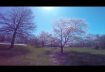 GoPro with ND Filter, frame rate vs Shutter Speed test on sunny day