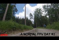 A normal FPV Day 2 – How to get your quad back from trees