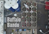 Chasing TQ at the Buffalo Bando