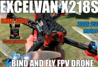 Excelvan X218S FPV Racing Drone (SmartAudio)