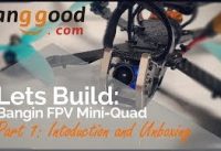 Lets Build: A Decent Beginners FPV Mini-quad Part 1 Introduction and Unboxing
