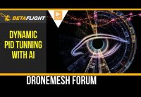 Dynamic Betaflight PID Tunning AI, DroneMesh Forum , Become a Reviewer VLOG 013