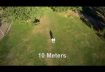 Drone View at Altitude Demonstration