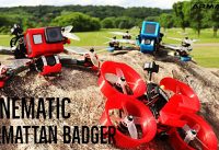 Armattan Badger | Shendrones Squirt V2 | Cinematic FPV Freestyle