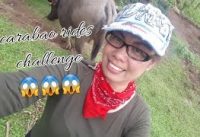 Carabao rides challengebuhay probinsya bakasyon2019
