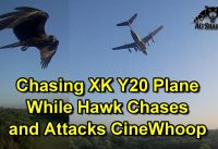 FPV Chasing Mini RC Jet Hawk Attack RC Plane