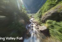 Viking Valley Fall