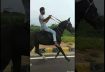 HORSE RIDING DANGEROUS SPEED😲100