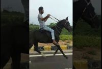 HORSE RIDING DANGEROUS SPEED😲100
