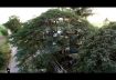 Professional Cinematic Drone Shoot. Ganesh Thorat Cinematography