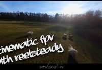 Cinematic FPV ReelSteady GO Tryout FPV Freestyle Drone DrNopeFPV