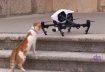 DRONE CRASH COMPILATION WITH ANIMALS