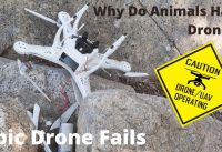 Ultimate DRONE Epic Fail Compilation 🤣