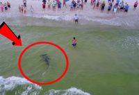 Scary Things Caught On Drone Camera | Weird Things Recorded by Drones | Studio One