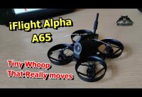 iFlight Alpha A65 65mm 1S Tiny Whoop RC FPV Racing Drone