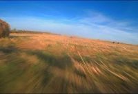 autumn showreel with FPV drone