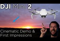 DJI Mini 2 – Cinematic Demo First Impressions