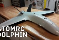Dolphin FPV flying wing : Day 1