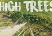 High Trees – FPV Freestyle