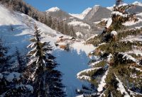“Lechnerhof” Luttach – Ahrntal Valley – South Tyrol – Italy Cinematic FPV 4K