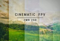 FPV Cinematic Freestyle Drone | ZMR 250 RC Drone | DIY RC Drone | FPV Drone Flying | FPV Racing Dron