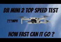 DJI Mini 2 Speed test-How fast will it go?
