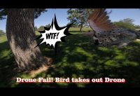 Drone Fail! Bird takes out Drone