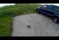 Mini Spider Hex Drone, Fail Safe Landing, Cutting the Grass