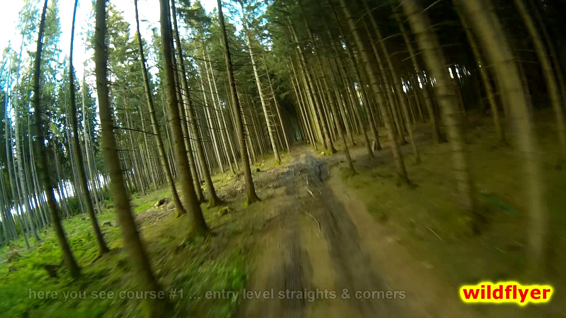 wildflyers “The Tree Arena” #1 basic practice for drone speed racing :-)