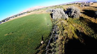 Racing Drone Chasing Deer On Dad’s Farm – QAV210 FPV