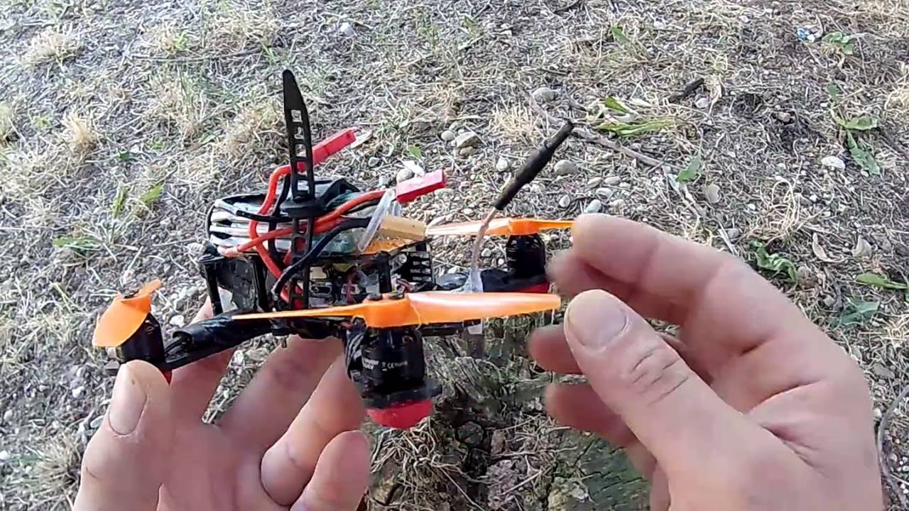 insects 130 and 1105 5000kv