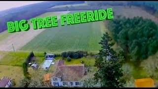 Big tree freeride drone FPV racing freestyle acro air mode