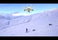 Snowboarding With Dogs Drones