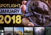 Community Spotlight Jan 2018