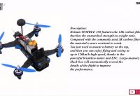 Detrum TOMBEE 250 250mm FPV Racing Drone